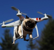 drone pour chien