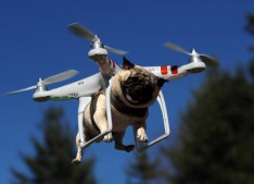 drone pour chien